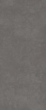 VIS6 278PB RM.jpg